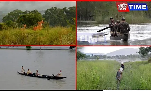 Assam Floods: 138 Wild Animals, Including 6 Rhinos Dead in Kaziranga National Park